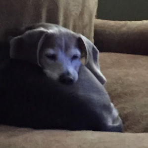 Meet your Posher, Kasey